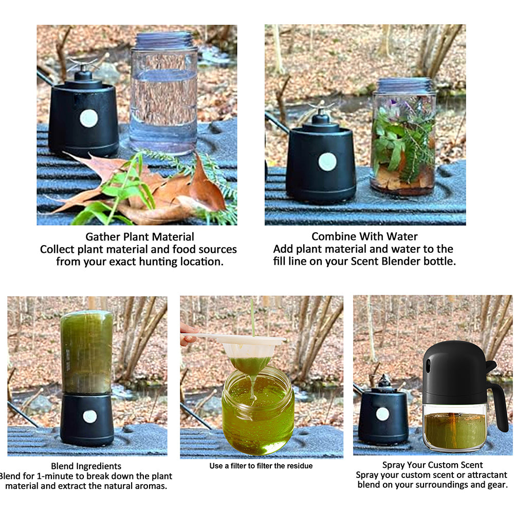 WildBlend Scent Lab