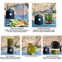 WildBlend Scent Lab